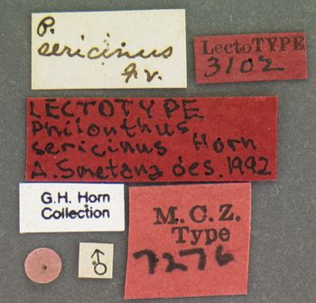 Media type: image;   Entomology 7276 Aspect: labels